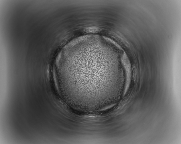 X0000095940655200801251111