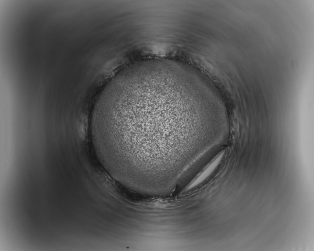 X0000095940656200801251111