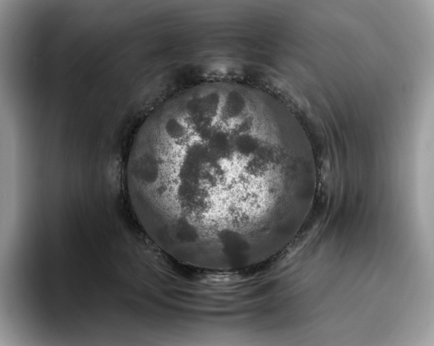 X0000095940659200801251111