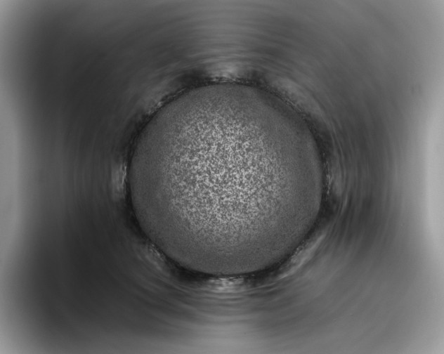 X0000095940660200801251111
