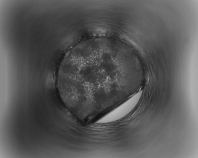 X0000095940661200801251111