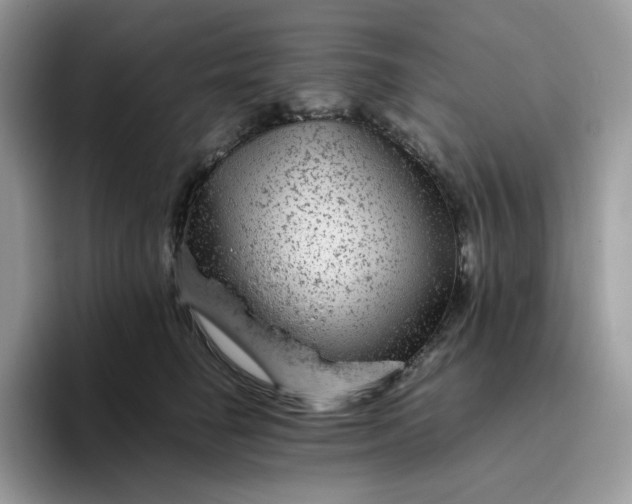 X0000095940662200801251111