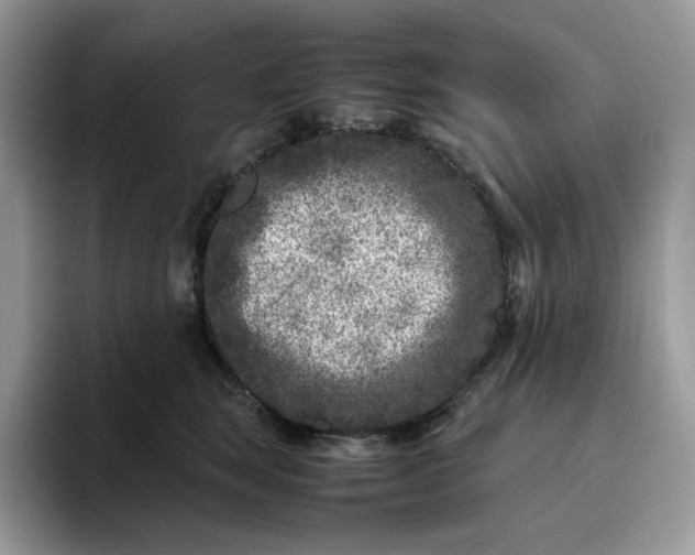 X0000095940663200801251111