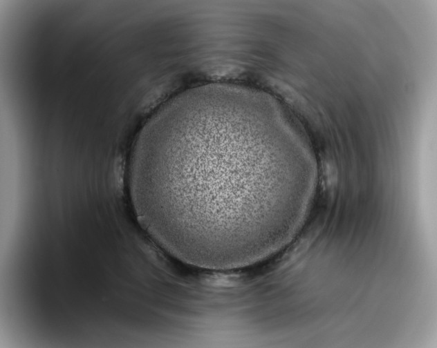 X0000095940664200801251111