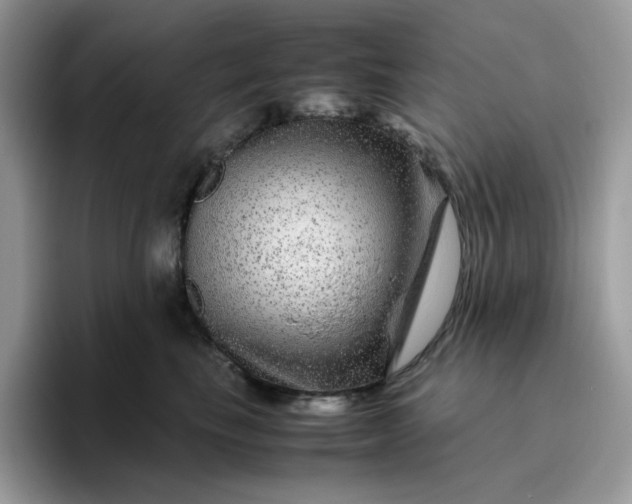 X0000095940665200801251111