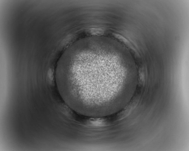 X0000095940667200801251111