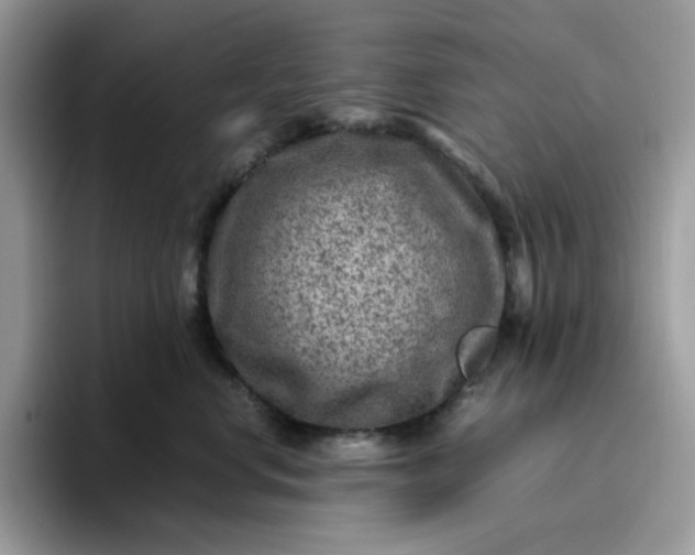 X0000095940668200801251111
