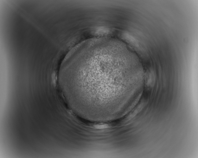 X0000095940669200801251111