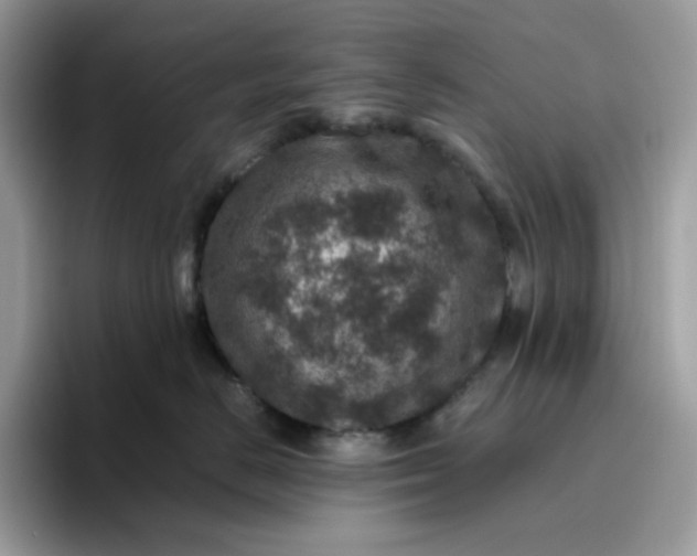 X0000095940670200801251111