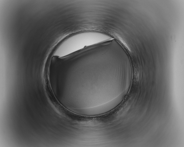 X0000095940674200801251110