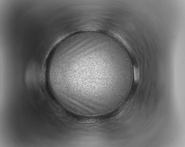 X0000095940675200801251110