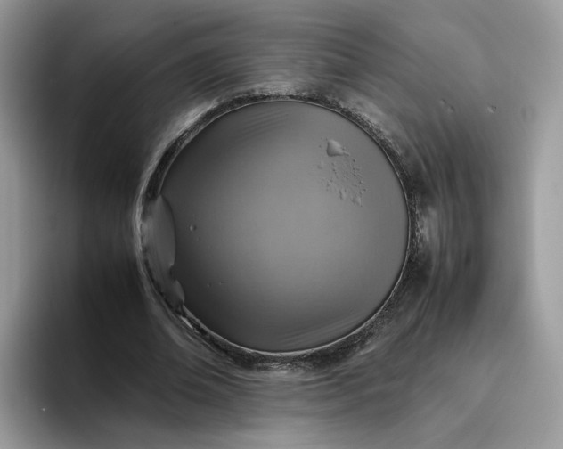 X0000095940678200801251110