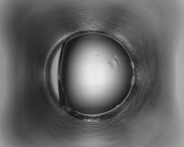 X0000095940680200801251110
