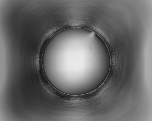 X0000095940682200801251110