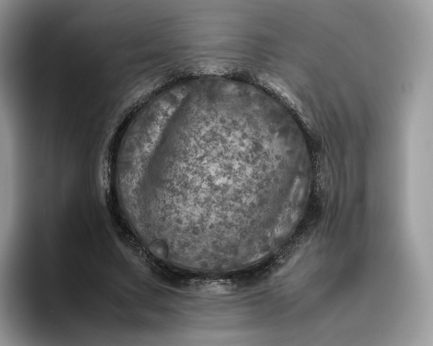 X0000095940683200801251110