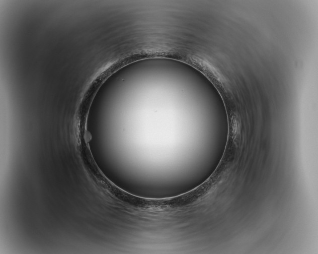 X0000095940684200801251110
