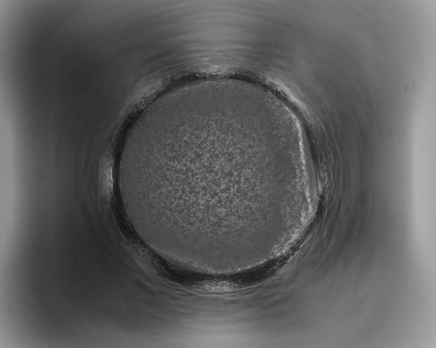 X0000095940685200801251110