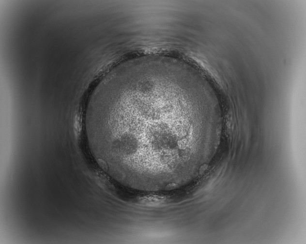 X0000095940691200801251110