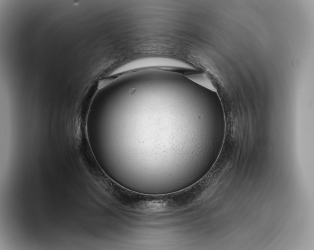 X0000095940692200801251110