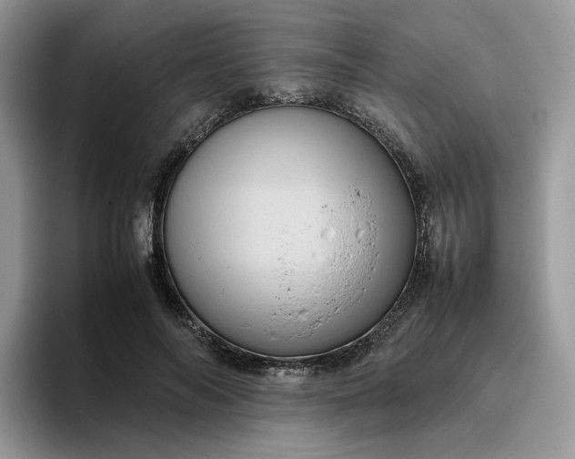 X0000095940694200801251110