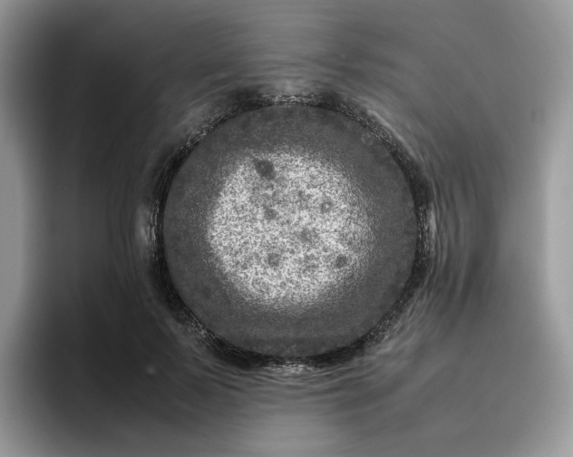 X0000095940695200801251110