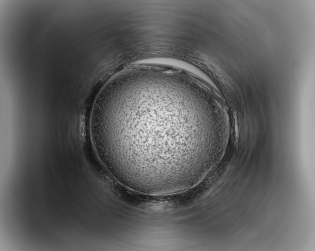 X0000095940696200801251110