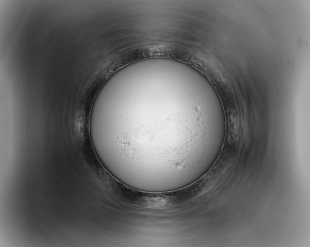 X0000095940698200801251110
