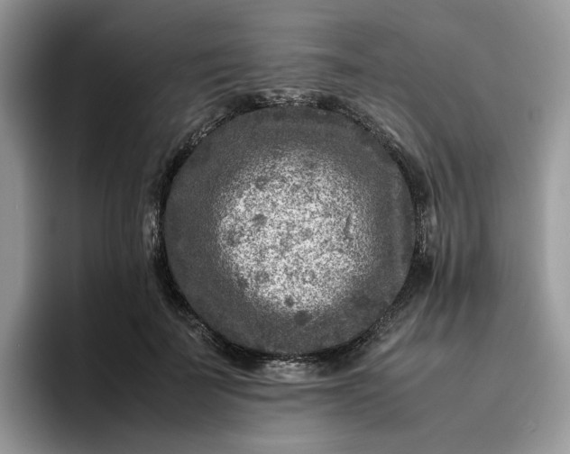 X0000095940699200801251110
