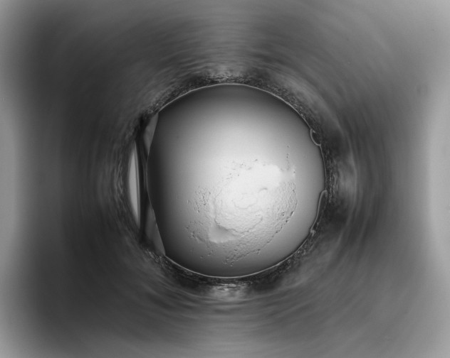 X0000095940700200801251110
