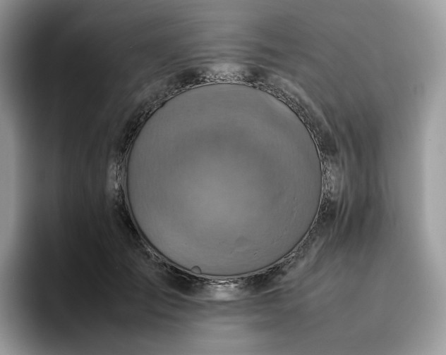 X0000095940701200801251110
