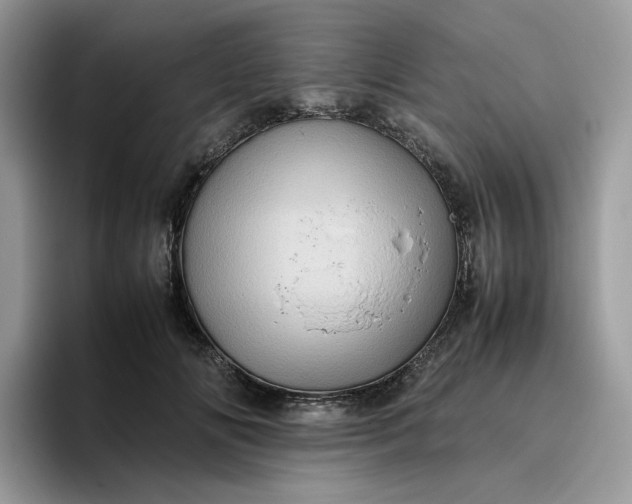 X0000095940702200801251110