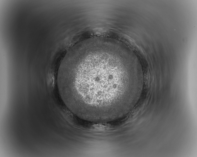 X0000095940703200801251110