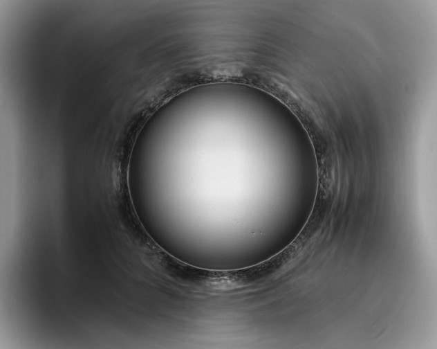 X0000095940704200801251110