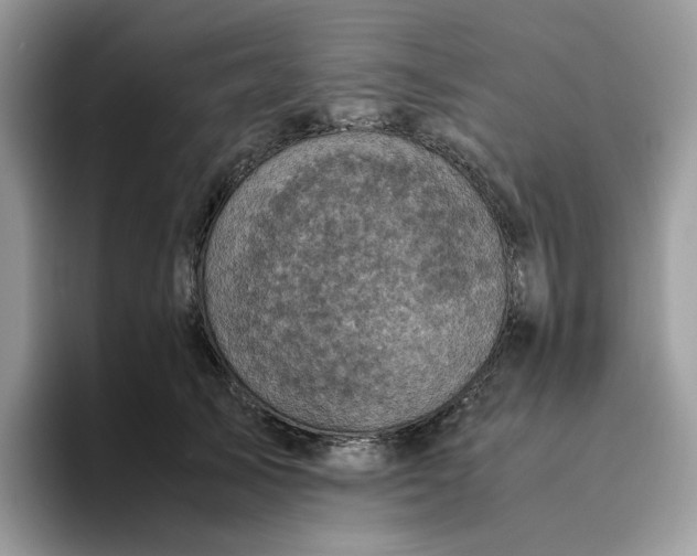 X0000095940705200801251110