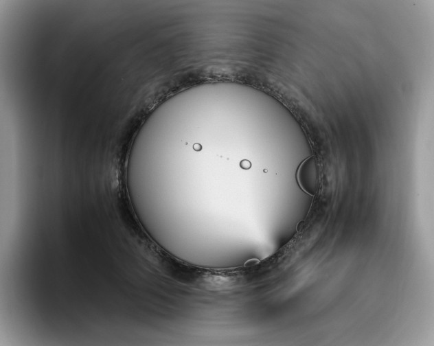 X0000095940706200801251110