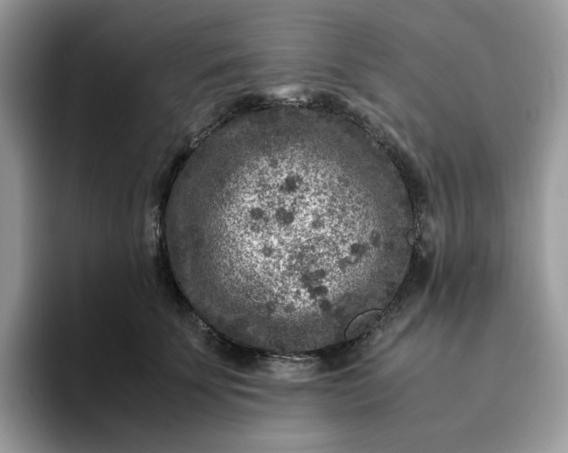 X0000095940707200801251110