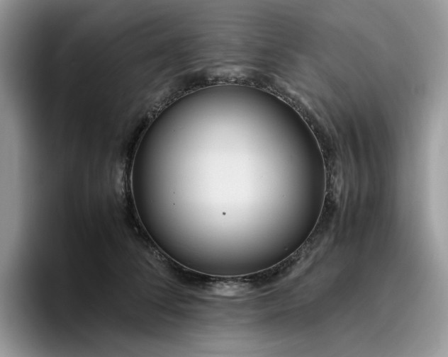 X0000095940708200801251110