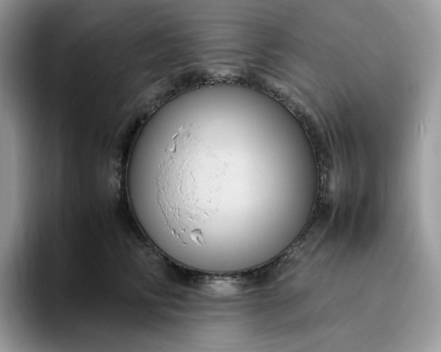 X0000095940710200801251110