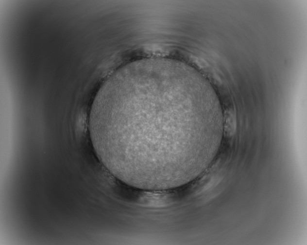 X0000095940713200801251110