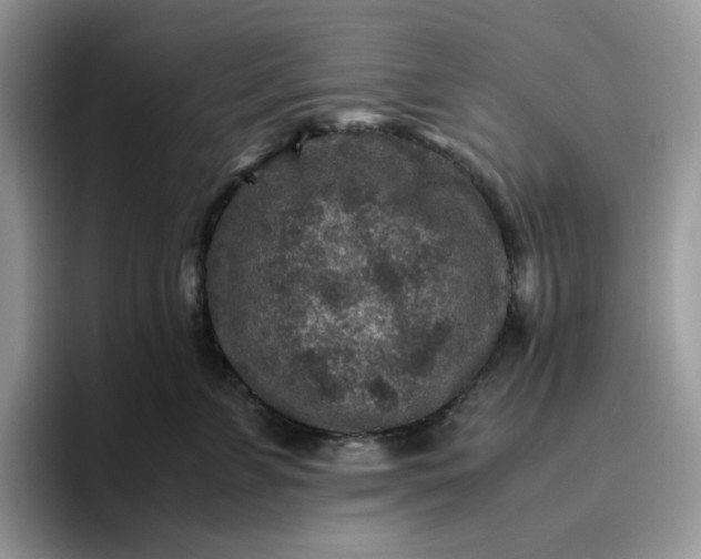 X0000095940715200801251110