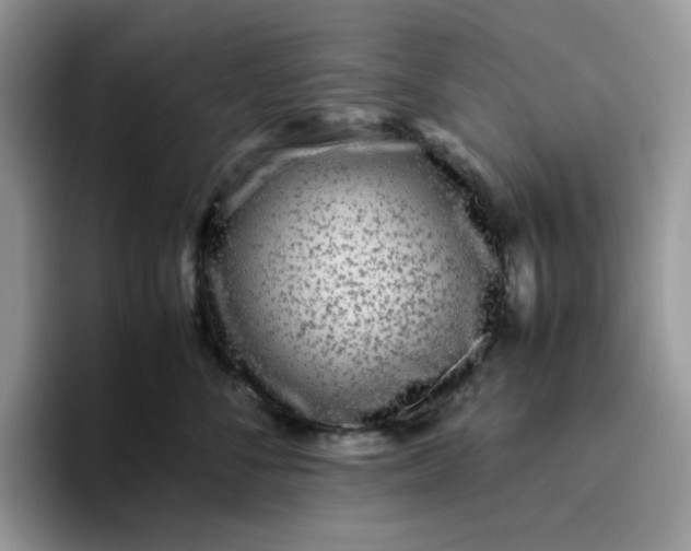 X0000095940716200801251110
