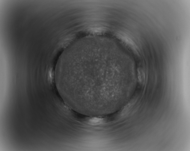 X0000095940718200801251110