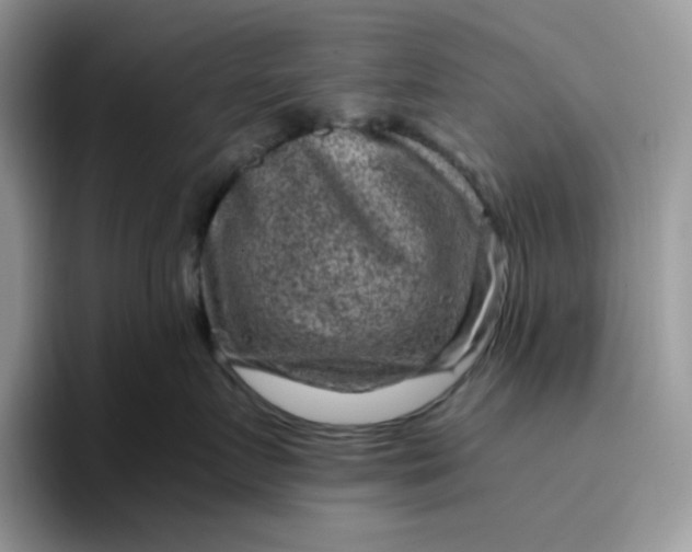 X0000095940719200801251110