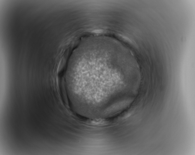 X0000095940720200801251110
