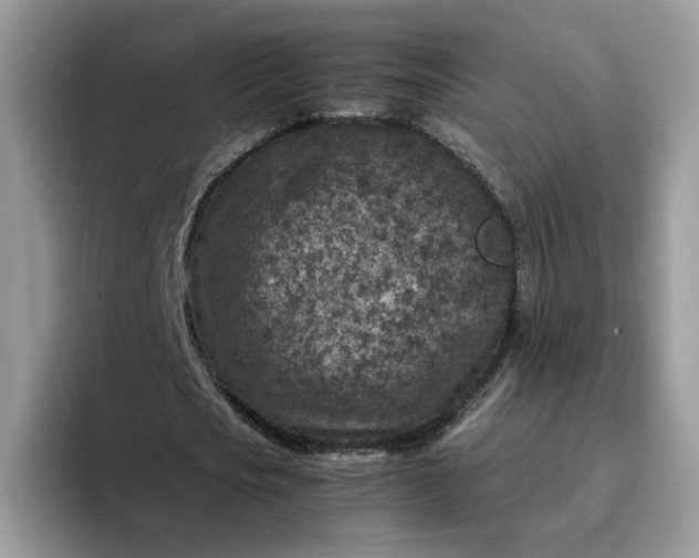 X0000095940721200801251109