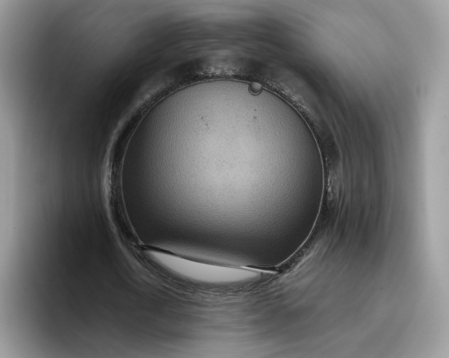 X0000095940722200801251109