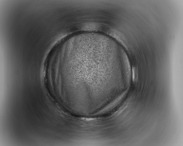 X0000095940723200801251109