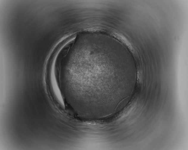X0000095940724200801251109