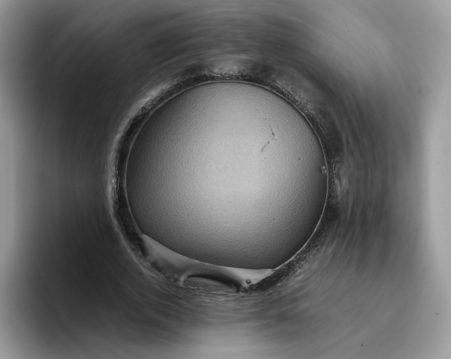 X0000095940728200801251109