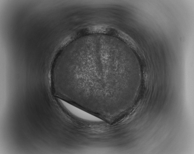 X0000095940729200801251109